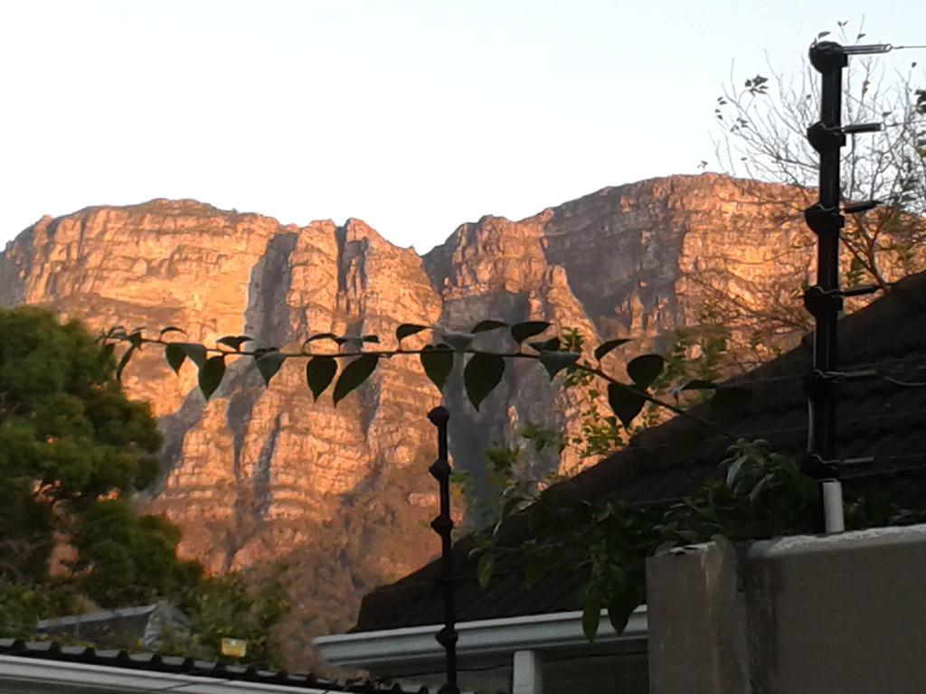 Glenhaven Guesthouse Cape Town Ngoại thất bức ảnh