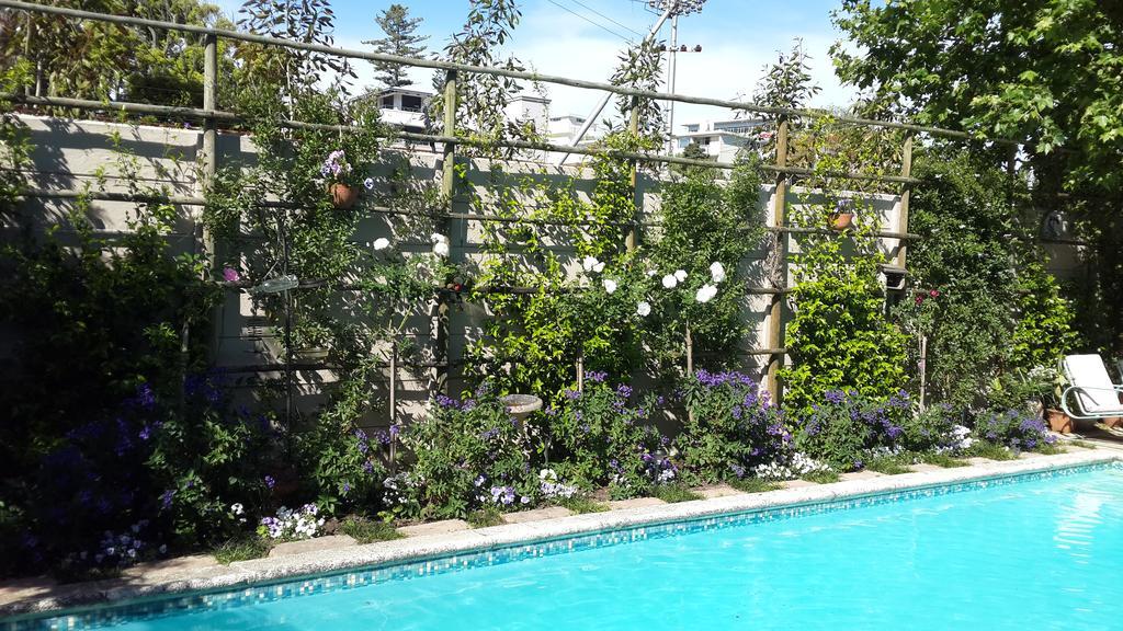 Glenhaven Guesthouse Cape Town Ngoại thất bức ảnh