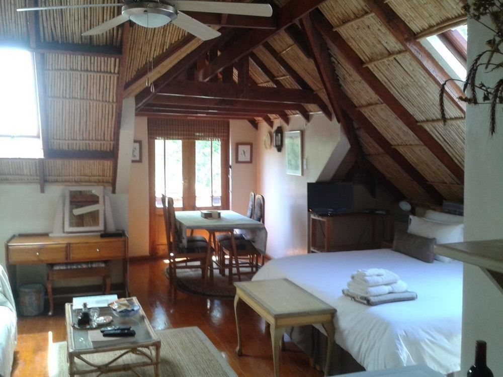 Glenhaven Guesthouse Cape Town Ngoại thất bức ảnh