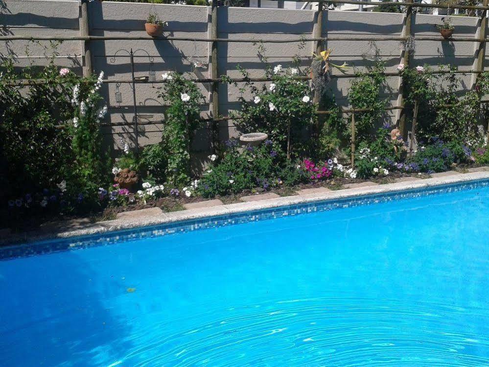 Glenhaven Guesthouse Cape Town Ngoại thất bức ảnh